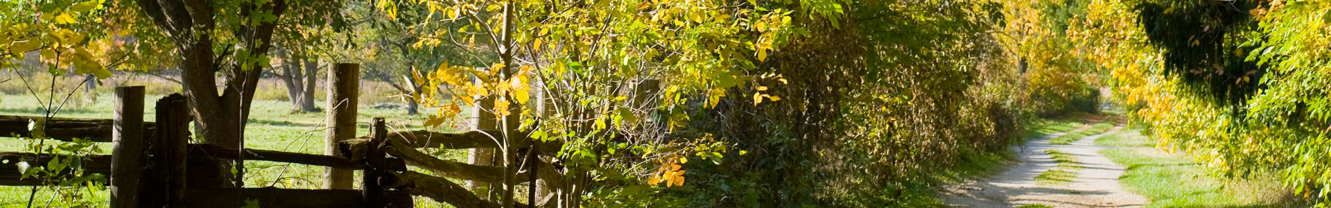 Parks and trails and gardens
