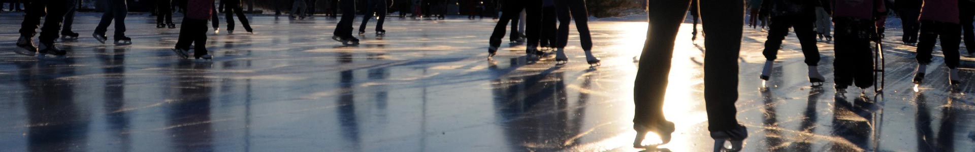 Recreation Centres and Arenas