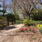 Coronation Park