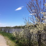 Parks & Trails