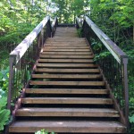 Parks & Trails