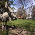 Nature Fun at the Oakville Museum