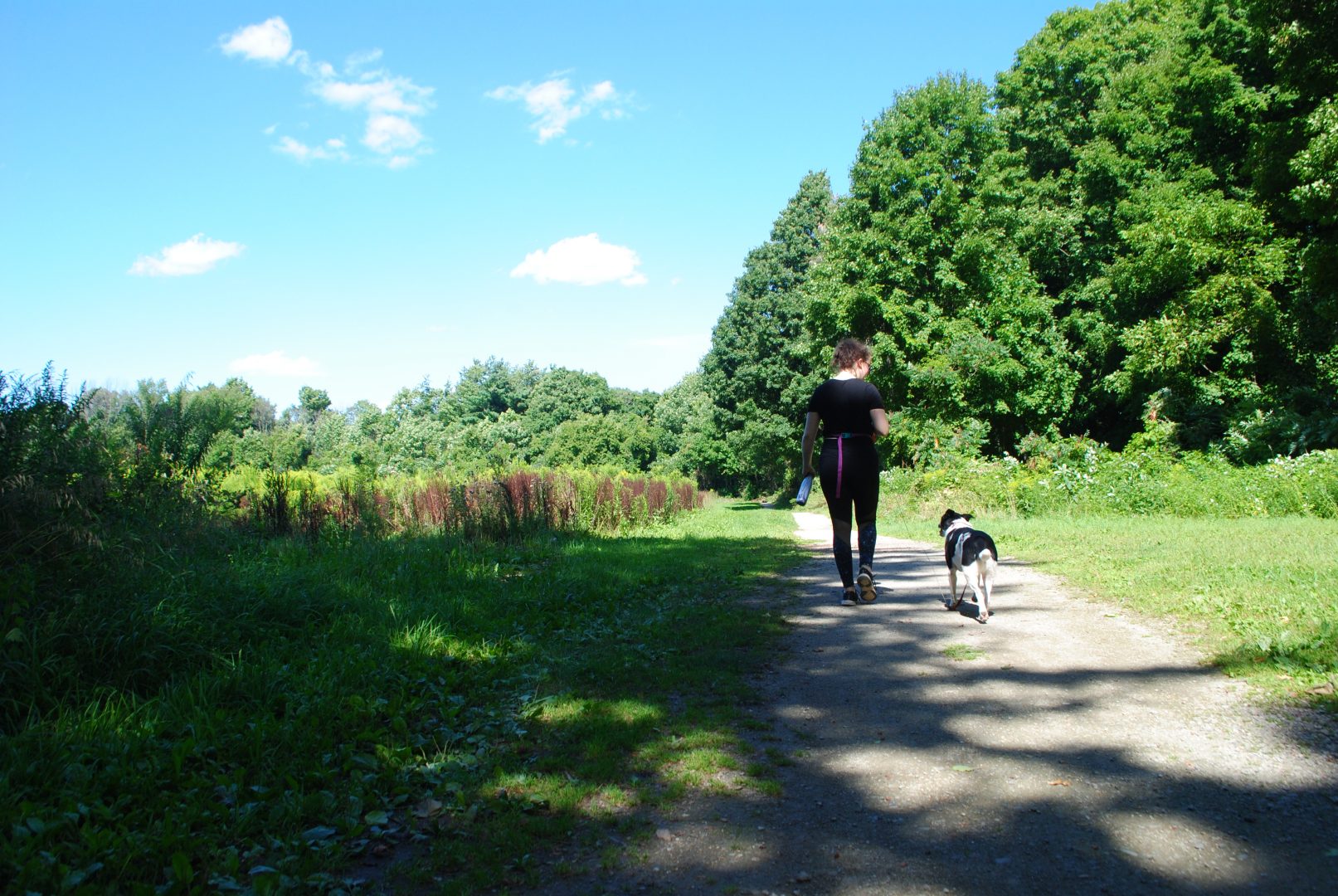Hike Oakville Safely